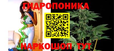 a pvp Наро-Фоминск