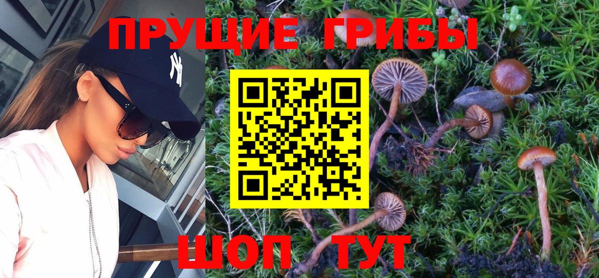 Фролово  Псилоцибиновые грибы MAGIC MUSHROOMS  Вход с VPN  Псилоцибиновые грибы MAGIC MUSHROOMS 